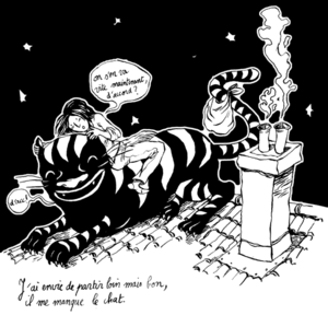 Chatnoir