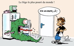 Frigo2