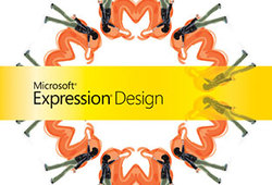 Expressiondesign