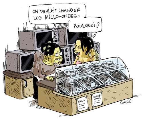 090515_chinois_microondes_web