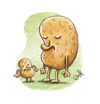 Patate