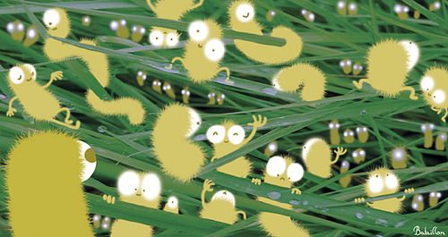 Herbes-vertes