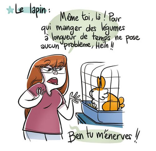 Regime-spirou-suite3