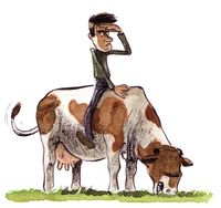 Cow_rider