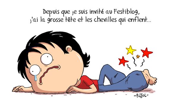 Festiblog 2013