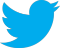 Twitter_Logo_Volt