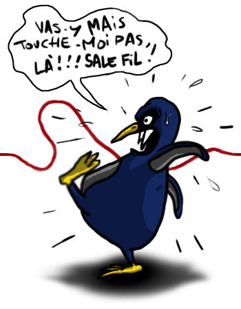 pingouin